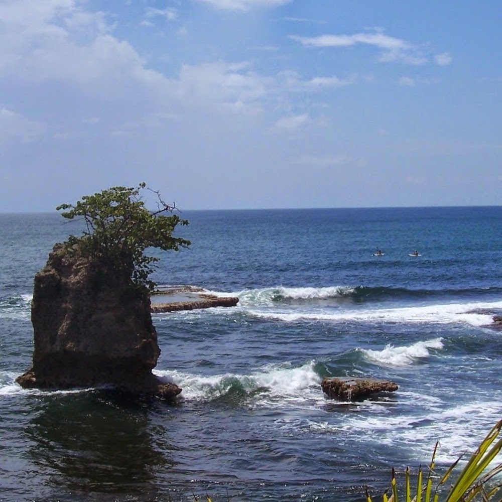 Meet your Posher, Mabel